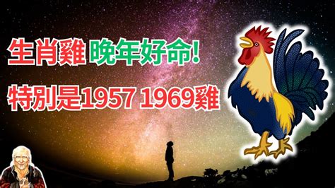 1969生肖配對|【1969生肖配對】1969年生肖配對：屬雞人後半生姻緣大解析！